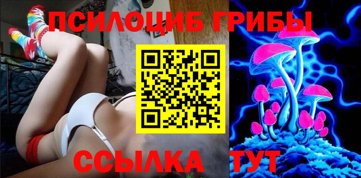 Галлюциногенные грибы Psilocybine cubensis Баксан