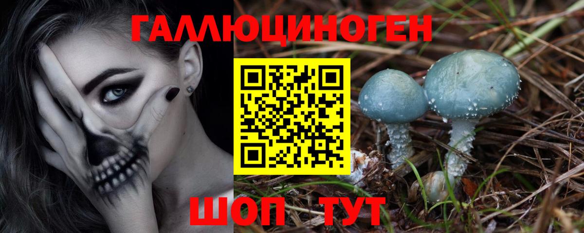 Псилоцибиновые грибы Magic Shrooms  Псилоцибиновые грибы прущие грибы  Вход с VPN  Баксан 
